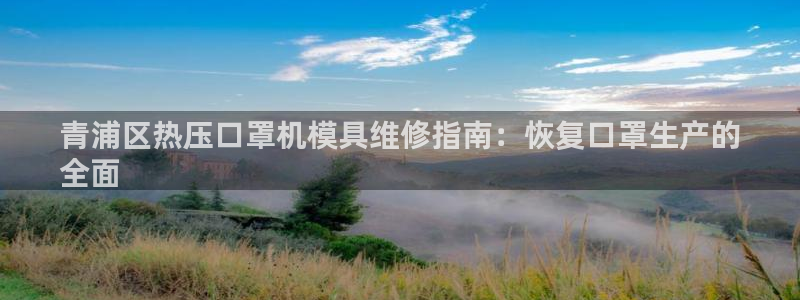 易倍申多少钱一盒：青浦区热压口罩机模具维修指南：恢复口罩