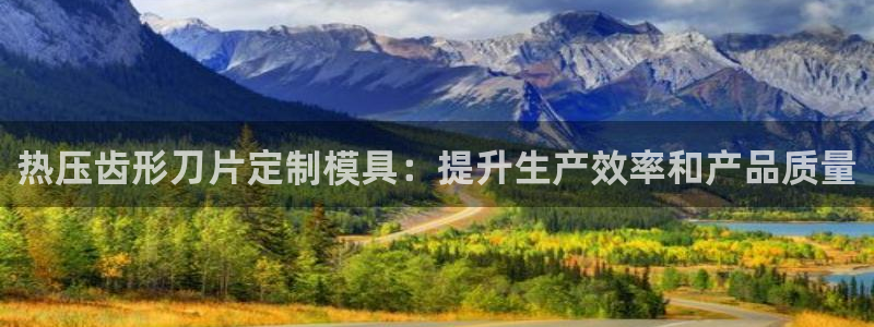 四川易倍易企业管理有限公司：热压齿形刀片定制模具：提升生