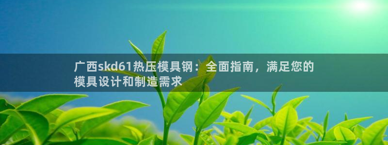 emc易倍官方平：广西skd61热压模具钢：全面指南，满