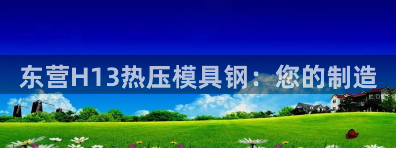 emc倍频干扰怎么解决：东营H13热压模具钢：您的制造