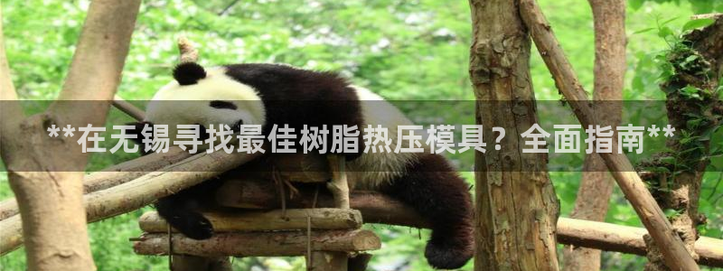 emc易倍下载：**在无锡寻找最佳树脂热压模具？全面指南