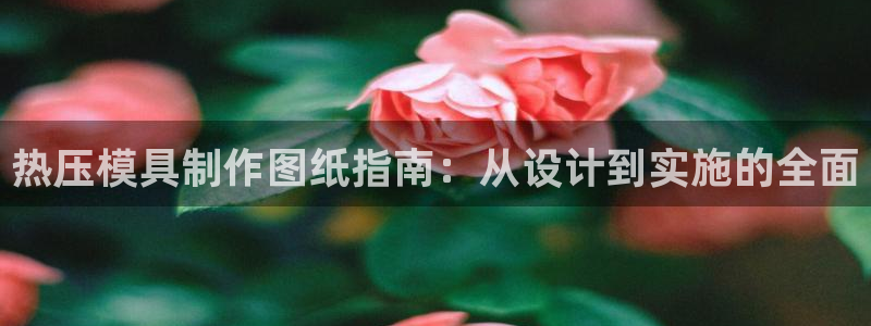 易倍app网站：热压模具制作图纸指南：从设计到实施的全面