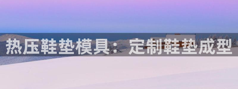 emc易赔：热压鞋垫模具：定制鞋垫成型