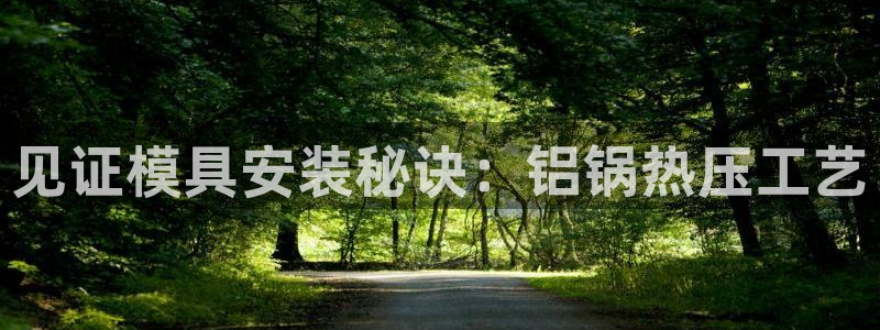 emc易倍官方：见证模具安装秘诀：铝锅热压工艺