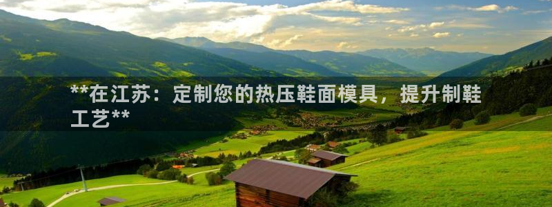 易倍app网站：**在江苏：定制您的热压鞋面模具，提升制