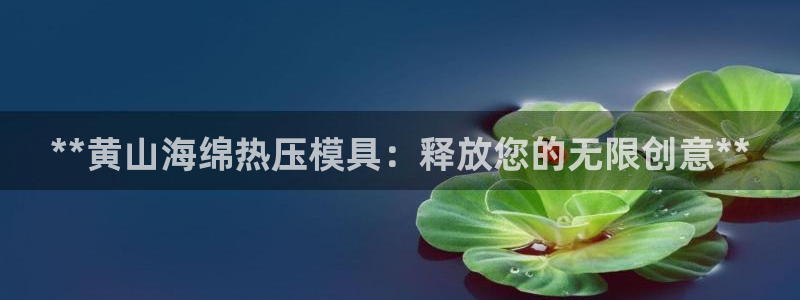 emc易赔：**黄山海绵热压模具：释放您的无限创意**