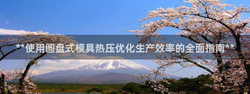 易倍单词官方网站的：**使用圆盘式模具热压优化生产效率的
