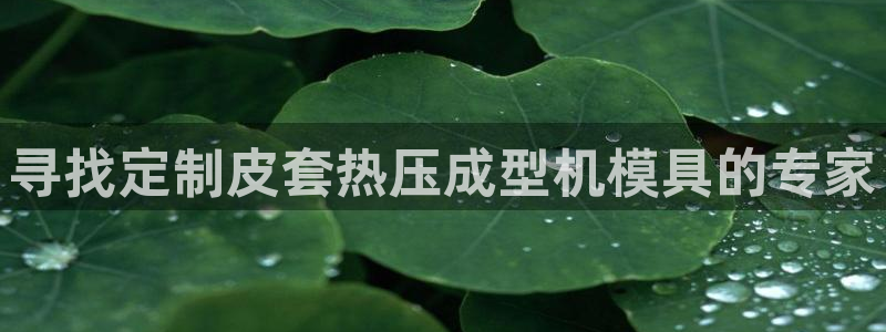 emc登录网站：寻找定制皮套热压成型机模具的专家