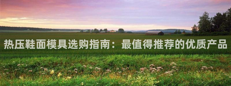 emc参数：热压鞋面模具选购指南：最值得推荐的优质产品