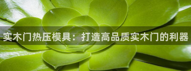 易倍达科技有限公司怎么样：实木门热压模具：打造高品质实木