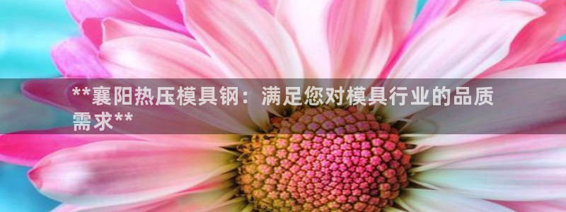 易倍申价格：**襄阳热压模具钢：满足您对模具行业的品质
