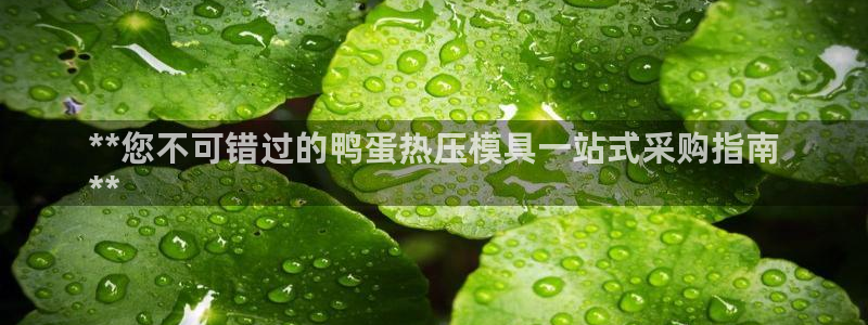 emc全站易倍：**您不可错过的鸭蛋热压模具一站式采购指