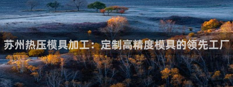 emc倍频干扰怎么解决：苏州热压模具加工：定制高精度模具