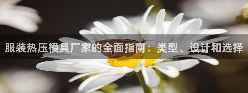 emc全站app下载：服装热压模具厂家的全面指南：类型、