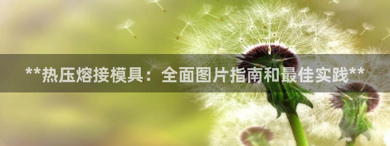易倍英语官方网站登录：**热压熔接模具：全面图片指南和最