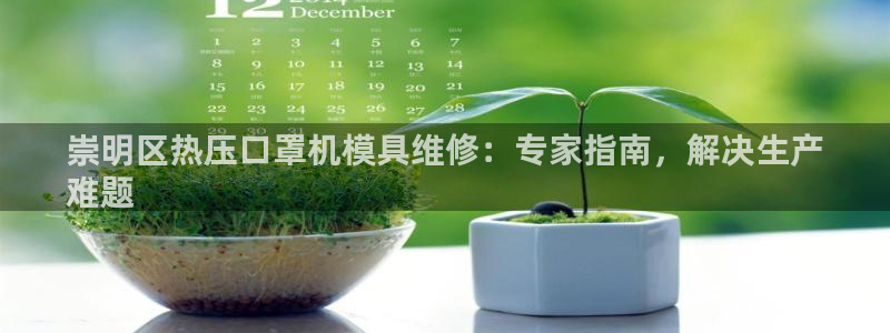 emc易倍官方平台：崇明区热压口罩机模具维修：专家指南，
