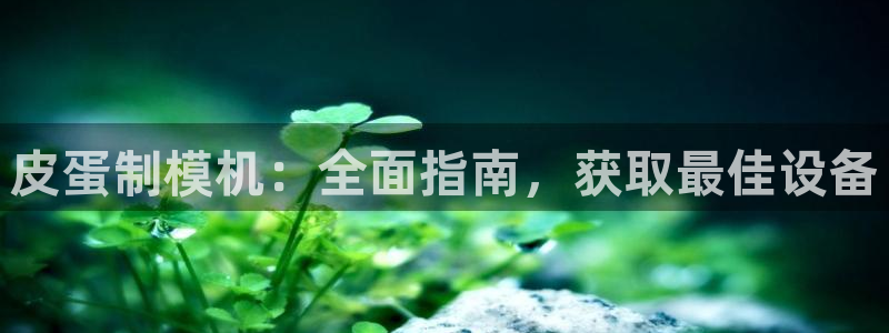 易倍申厂家：皮蛋制模机：全面指南，获取最佳设备