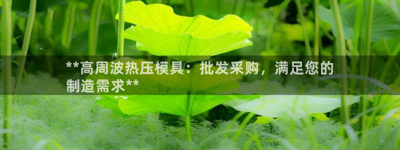 易倍纤代餐奶昔怎么样：**高周波热压模具：批发采购，满足
