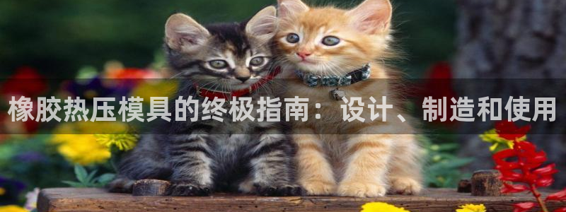 emc服务器是干啥的：橡胶热压模具的终极指南：设计、制造