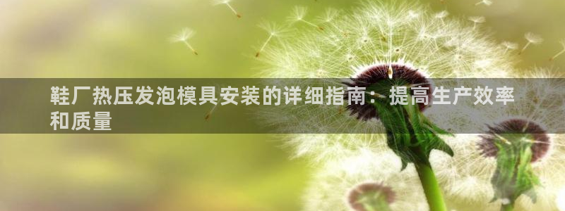 易倍单词app官网：鞋厂热压发泡模具安装的详细指南：提高