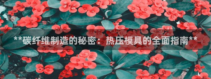 emc易倍官网：**碳纤维制造的秘密：热压模具的全面指南