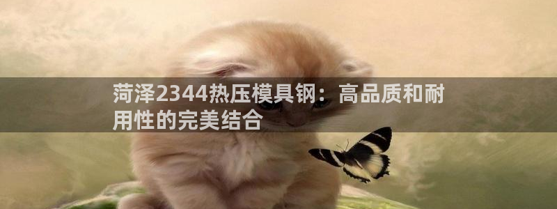 四川易倍易企业管理有限公司：菏泽2344热压模具钢：高品