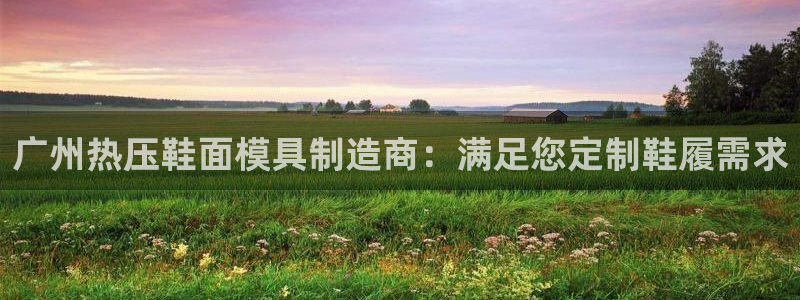 上海易倍投资有限公司：广州热压鞋面模具制造商：满足您定制