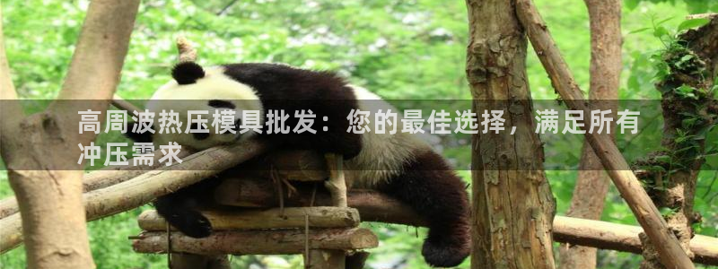 易倍申价格：高周波热压模具批发：您的最佳选择，满足所有
