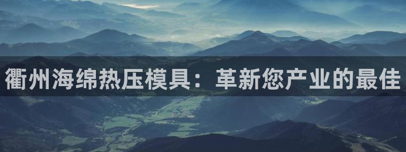 杭州易倍达上班怎么样：衢州海绵热压模具：革新您产业的最佳