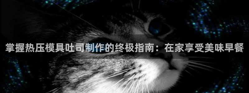emc易倍老板：掌握热压模具吐司制作的终极指南：在家享受