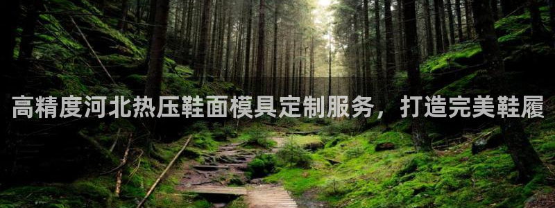 易倍emc网址网页版本登陆：高精度河北热压鞋面模具定制服