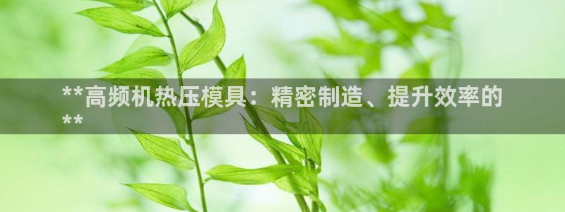 易倍电竞：**高频机热压模具：精密制造、提升效率的
**