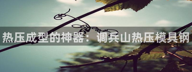杭州易倍达科技有限公司怎么样：热压成型的神器：调兵山热压