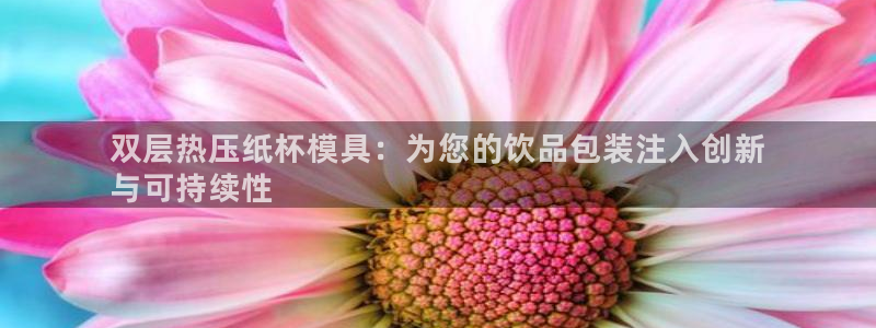 四川易倍易企业管理有限公司：双层热压纸杯模具：为您的饮品