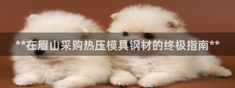 易倍申上市时间：**在眉山采购热压模具钢材的终极指南**