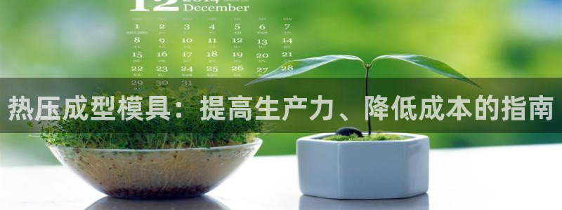 易倍纤能减肥吗：热压成型模具：提高生产力、降低成本的指南