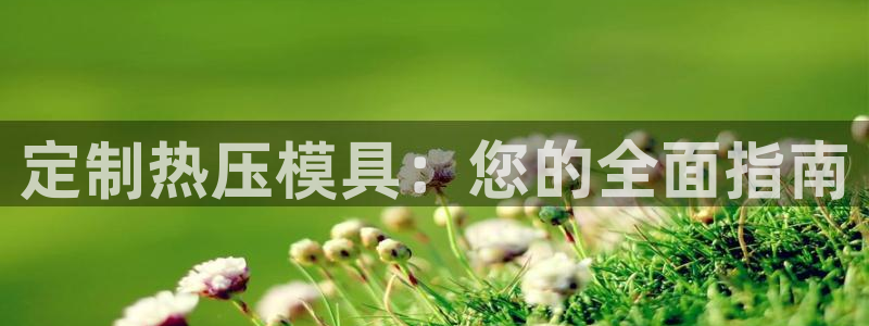 杭州易倍达：定制热压模具：您的全面指南