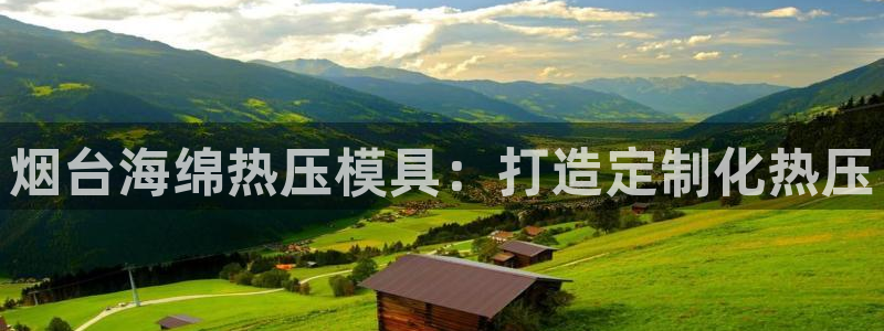 emc服务器是什么：烟台海绵热压模具：打造定制化热压