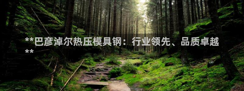 易倍单词官方网站登录：**巴彦淖尔热压模具钢：行业领先、