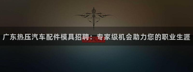 易倍达科技有限公司怎么样：广东热压汽车配件模具招聘：专家