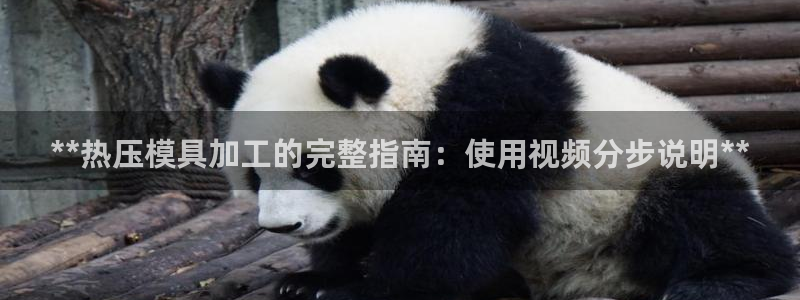 易倍单词官方网站登录：**热压模具加工的完整指南：使用视