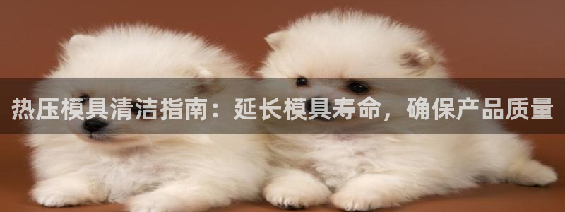 易倍申厂家