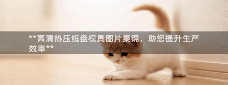 易倍emc网址网页版本登陆：**高清热压纸盘模具图片集锦