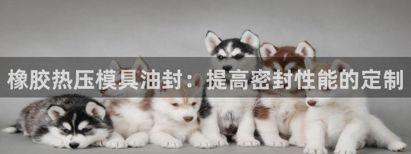 emc易倍出空款：橡胶热压模具油封：提高密封性能的定制