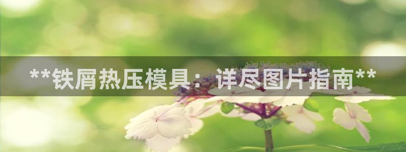 emc易倍穆里尼奥：**铁屑热压模具：详尽图片指南**