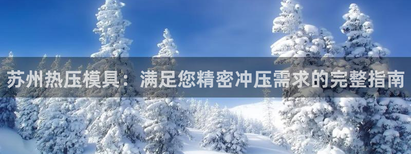 易倍申片能长期服用吗：苏州热压模具：满足您精密冲压需求的