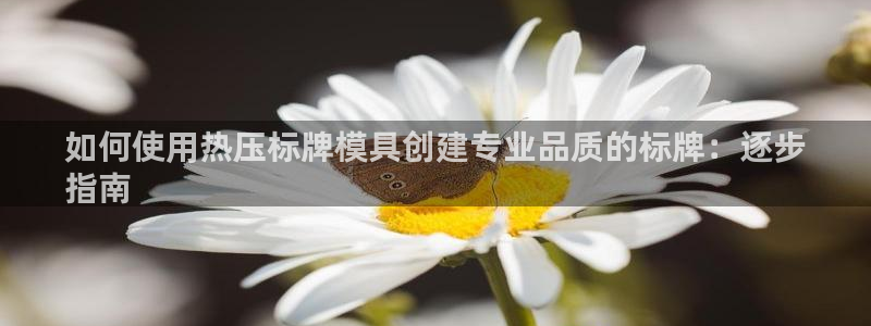 emc app下载：如何使用热压标牌模具创建专业品质的标