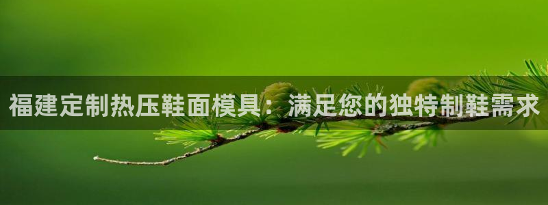 上海易倍投资有限公司：福建定制热压鞋面模具：满足您的独特