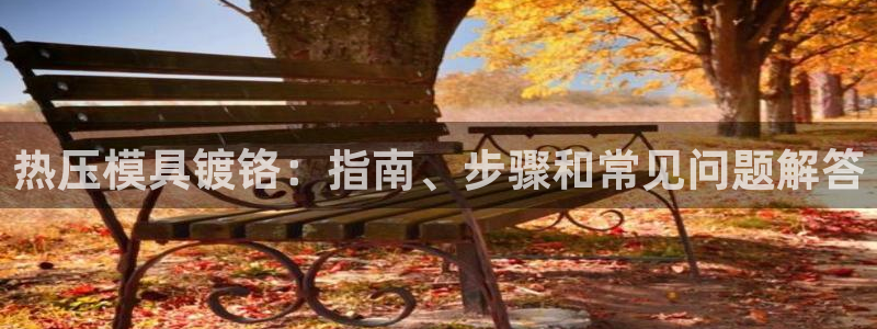 易倍纤酵素效果好吗：热压模具镀铬：指南、步骤和常见问题解