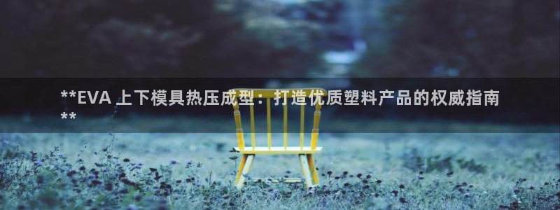 易倍纤官网：**EVA 上下模具热压成型：打造优质塑料产